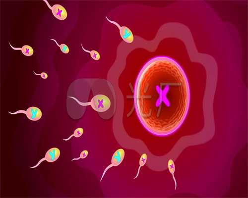 北京借卵子受孕有没有影响，你的排卵期测错了！四大方法助你轻松监测排卵期