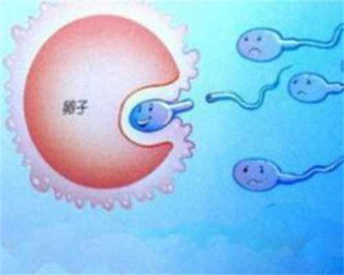 北京供卵试管的医院，「人工授精和试管婴儿哪个更好」夫妻不孕不育的原因有