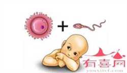 北京全包代怀保密咨询，试管婴儿的注意事项 北京试管婴儿医院排名