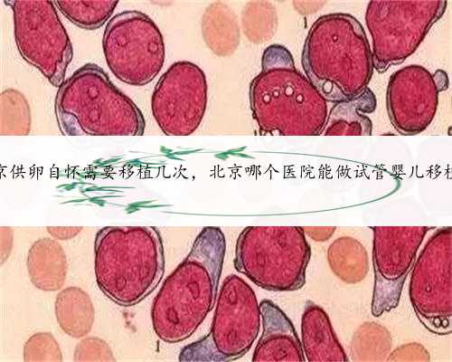 北京供卵自怀需要移植几次，北京哪个医院能做试管婴儿移植术
